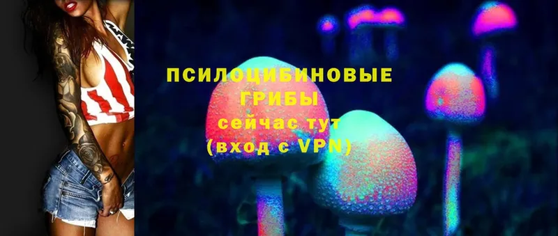 Галлюциногенные грибы Cubensis  blacksprut сайт  Севастополь 